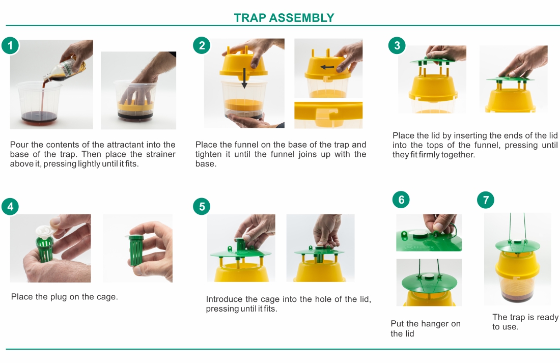 Trap assembly Velutina Trap