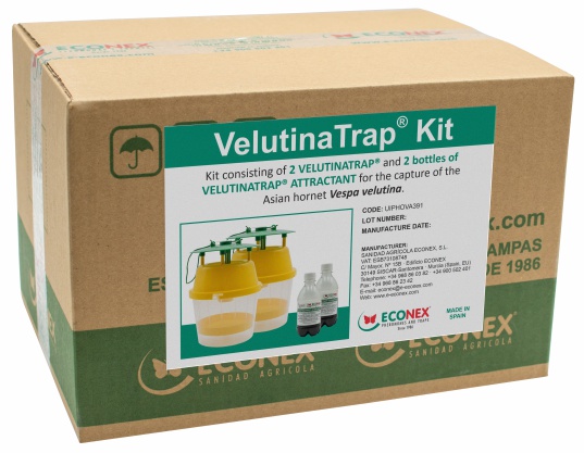 VelutinaTrap kit and attractant
